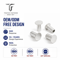 Rivets semi-tubulaires à tête plate en acier au carbone de TianFang pour supports d'extincteurs, prototypes d'ingénierie, approvisionnement traçable