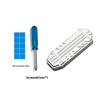 M.2 NVME SSD kotak Hard Disk ponsel kecepatan tinggi Solid State JMS583 kontrol utama USB TYPE-C Cover magnetis kepala ganda