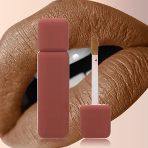 China Produkte Hersteller Fabrik Wasserdichter matter Lippenstift Kunden spezifisches Logo Dunkelbrauner Lippenstift