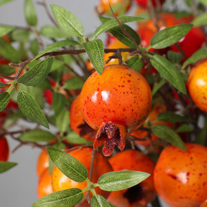 Modelo de casa de Granada Artificial dorada, pantalla de estudio fotográfico, 60cm, 3 cabezales, 80cm, 5 cabezales, 97cm, 8 cabezales - Product Image 4