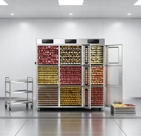 Industriële voedseldroger 99 trays hoge capaciteit roestvrij staal fruit & groente verwerkingsmachines commercieel