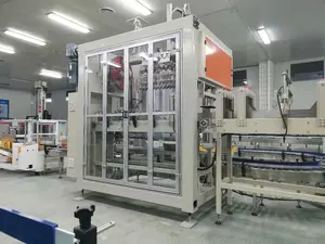 Carton Packaging Carton Case Packaging Machine Carton Box Filling Machine