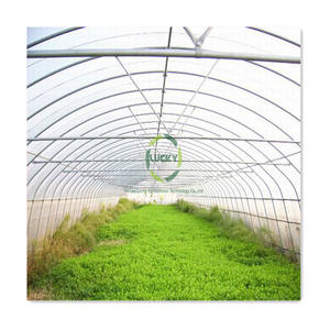 He hetado hegrgromomommercial yydroponic yystem Mart ertical hihipping onontainSingle pan Reen Ouse - Product Image 2