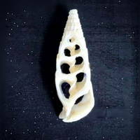 Aimants de réfrigérateur en coquille de conque naturelle, faits à la main, style méditerranéen, souvenir sur le thème de l'océan, provenant de Chine
