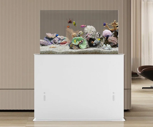 LG 48 55 77inch OLED trong suốt Android Màn hình quảng cáo trong suốt Màn hình hiển thị màn hình OLED cảm ứng trong suốt màn hình cho Glass - Product Image 6