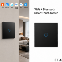 Interruptor de Panel Táctil de Vidrio Inteligente WiFi 10A EU con Control por Voz y Opción de Neutro para Importadores de Mediana a Gran Escala con Foco en Eficiencia Energética