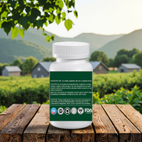 Capsules de chlorophylle magique à étiquette privée OEM pour adultes, 250 capsules végétaliennes, améliorent l'immunité, la détoxification, la santé intestinale et la peau