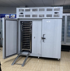 Siêu nhanh thép không gỉ Blast Máy làm lạnh sốc Tủ đông với xe đẩy tấm Tủ đông có tính năng động cơ thành phần cốt lõi - Product Image 4