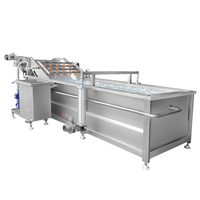 Automatische groenteverwerkingslijn, industriële bubbelwas-, snij- en drooglijn voor voedingsfabrieken