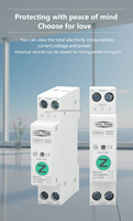 Interrupteur intelligent WIFI VOLTRIQ 1P+N 63A 110V 220V avec compteur d'énergie Kwh, disjoncteur et relais temporisé pour usage domestique intelligent