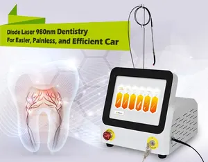 2024 Mini-60w 클래스 IV 치과 다이오드 레이저 수술 장비 980nm 휴대용 다이오드 치과 연조직 레이저