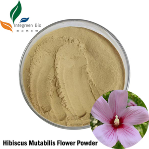Poudre de fleur d'<span class=keywords><strong>Hibiscus</strong></span> <span class=keywords><strong>Mutabilis</strong></span> naturelle / Poudre de Flos Sophorae Qualité alimentaire/cosmétique Colorants/Pigment - Product Image 1