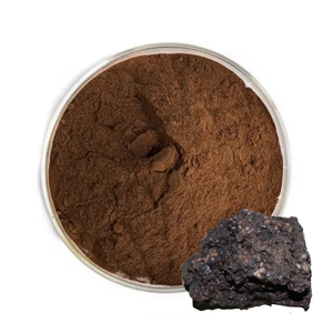 Yüksek kalite % 100% saf Shilajit özü tozu % 60% fulvik asit - Product Image 1