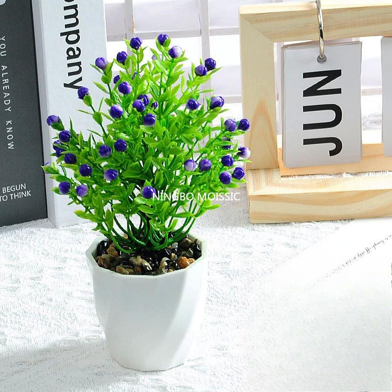 Love beans potted blue