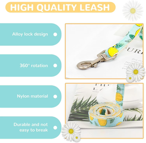 Arnés y Correa para <span class=keywords><strong>Perro</strong></span> NiBao Personalizado, <span class=keywords><strong>Sin</strong></span> Tirones, con Anilla en D y Lazo, Malla Suave - Product Image 3