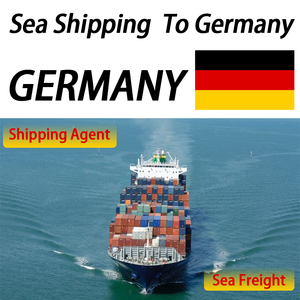 Transitaire maritime pour l'Europe, charges complètes par transport maritime professionnel, expédition de conteneurs - Product Image 5