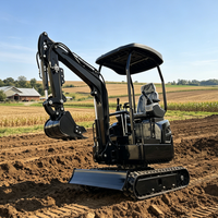 Mini-excavatrice à chenilles diesel de 1,6 tonne avec moteur Euro 5, livraison gratuite, mini-excavatrice agricole de petite taille à vendre