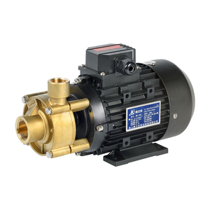 ปั๊มน้ำมันทนความร้อนสูง 220V - Product Image 1