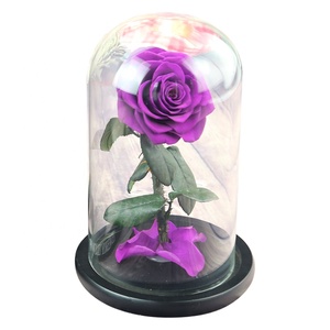 <span class=keywords><strong>Rosa</strong></span> Preservada en Cúpula <span class=keywords><strong>de</strong></span> <span class=keywords><strong>Cristal</strong></span> en Caja <span class=keywords><strong>de</strong></span> Regalo, Flor Real Estabilizada Eterna <span class=keywords><strong>con</strong></span> Tallo para Navidad, Gran Venta - Product Image 1