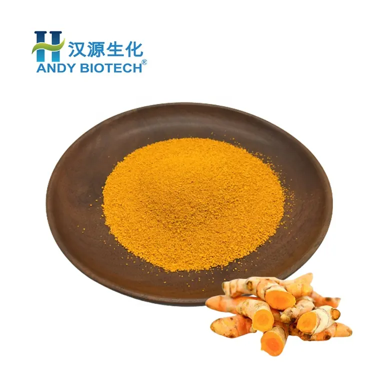 New Curcumin 95% bột hữu cơ nghệ chiết xuất từ rễ bột