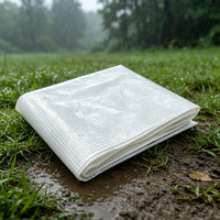 Bâche en PE imperméable, résistante à l'eau, anti-UV, tricotée, tissée, enduite, unie, poids moyen 120GSM pour usage industriel extérieur