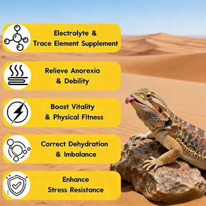OEM ODM Solución Electrolítica para Reptiles, para Aliviar la Deshidratación de Reptiles, para Criadores de Reptiles, Corrige la Deshidratación - Product Image 3
