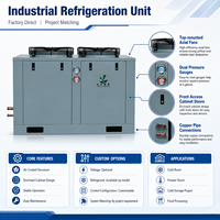 Unidad Condensadora Scroll Copeland de 3HP para Sistema de Refrigeración de Almacenamiento en Frío de Pescado y Mariscos para Proyectos Industriales de Almacenamiento en Frío
