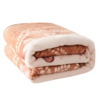 Couverture raschel tricotée chaude et douce de luxe, couvertures pour l'hiver 8 kg lit double 2 plis, couverture coréenne en vison pour l'hiver