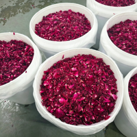 Poudre de pétales de bourgeons de roses roses, extrait de rose, qualité alimentaire, vitamine C, polyphénols, certifié, emballage en fût, en vrac sous vide