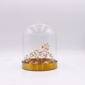 Fornitura di diverse dimensioni chiaro semplice fiore di rosa conservato in vetro a cupola di vetro con cupola in legno nero base in oro - Product Image 4