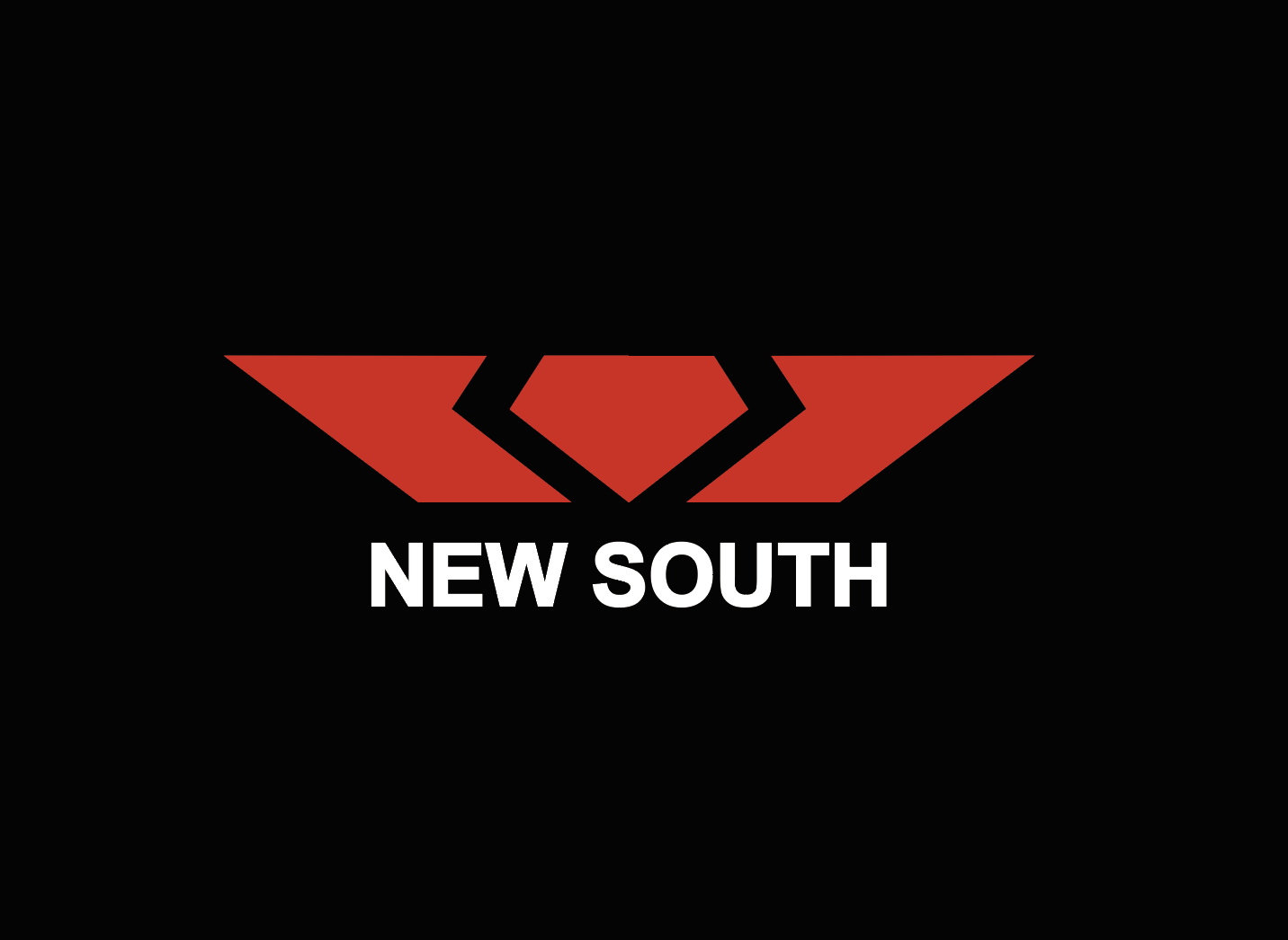 New South (Guangdong) Intelligent Technology Co., Ltd. logo