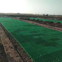 Grilles de pavage en plastique écologiques en gros pour gazon paysager, allées, drainage, pentes, barrages et parkings