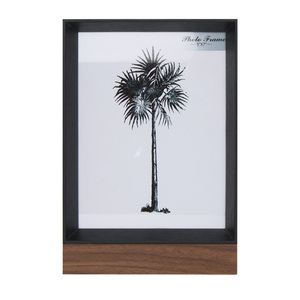 Tùy Chỉnh Cổ Điển Màu Đen Trắng Hình Vuông Khung Chất Lượng Cao Hiện Đại/Retro/Mộc Mạc Bóng Hộp Khung Ảnh Với Bức Tranh Động Vật - Product Image 1