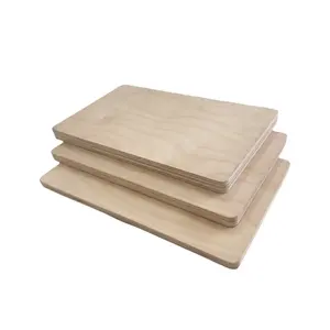 Linyi Nuobeisen Hot Sales 2.7mm 3mm 5mm 18mm Bintangor / Okoume/pine Wood Veneer Faced Plywood Commercial Plywood