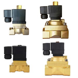 صمام ملف لولبي عالي الضغط 50 بار بضغط عال درجة الحرارة من نوع acbsp 12 فولت 24 فولت تيار مستمر 220 فولت N.C من نوع PTFE صمام نحاسي تجريبي - Product Image 1