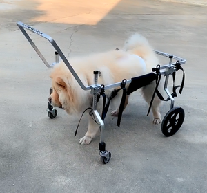 HEDY PW03 aleación de aluminio ajustable todos los tamaños 4 ruedas mascota perro gato silla de ruedas andador <span class=keywords><strong>para</strong></span> ancianos <span class=keywords><strong>discapacitados</strong></span> paralizados perro - Product Image 1