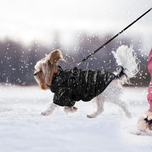 Wholesale Reflective Outdoor Logo Greyhound Apparel Jacket Both <strong>Legs</strong> <strong>Waterproof</strong> Small Luxury Winter Pet Clothes <strong>Dog</strong> <strong>Coat</strong> - Product Image 4