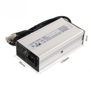 Chargeur de batterie AGV 24V 30A, vente en gros, 1200W, 25.2V 29.2V 29.4V 30A, avec entrée 220V et 110V - Product Image 5