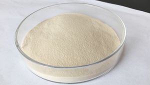 Poudre d'<span class=keywords><strong>agar</strong></span>-<span class=keywords><strong>agar</strong></span> de supplément de bien-être à base de plantes de haute qualité pour additifs alimentaires - Product Image 3