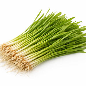 TW Hordeum Vulgare Sprout PDRN, Complejo de Vitalidad Derivado de Plantas Premium para Materia Prima Cosmética, Energía y Rejuvenecimiento de la Piel - Product Image 2