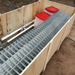 Jaula de Cría de Pollos de 2 Puertas Tipo H, Galvanizada, de 4 Niveles, Nueva, de Alta Calidad, para Granjas Comerciales en Nigeria - Product Image 4