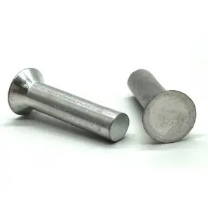 Solid Rivet 3mm 4mm 5mm 6mm Stainless Steel Round Head Solid Rivet