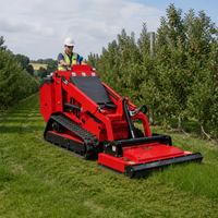 Minipala cingolata T750 all'ingrosso, prezzo di fabbrica, motore diesel Yanmar Kubota, batteria al litio opzionale, 410 kg, EPA EURO5