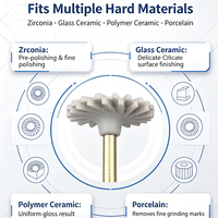 Kit de Ruedas de Pulido para Laboratorio Dental Multimaterial, Autoclavable, para Zirconia, Vidrio, Cerámica, Polímero, Resina Compuesta