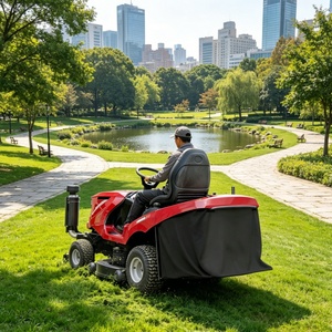 Maquinaria Forestal: Cortacésped de Jardín a Gasolina con Conducción a Bordo y Giro Cero para Corte de Césped - Product Image 1