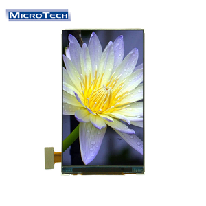 Icrotech-Módulo portátil de baja potencia, NCH 3,97, 480x800 - Product Image 2