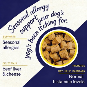 Integratori Masticabili per Cani contro Allergie e Prurito, con Colostro e Propoli + Probiotici, Supporto Quotidiano per Pelle Pruriginosa e Sistema Immunitario - Product Image 4