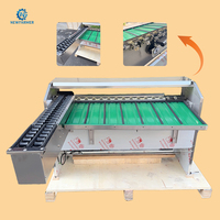 Machine de triage automatique d'œufs en acier inoxydable 5400 PCS/H, trieuse et calibreuse d'œufs pour ferme avicole
