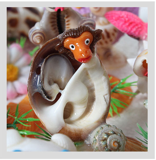 beach shells seashells corn shell natural home decor boxed lots wedding display craft small