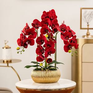 결혼식 장식용 꽃과 식물 금색 화분 인조 백난초 장식용 꽃 난초 식물 판매 - Product Image 2